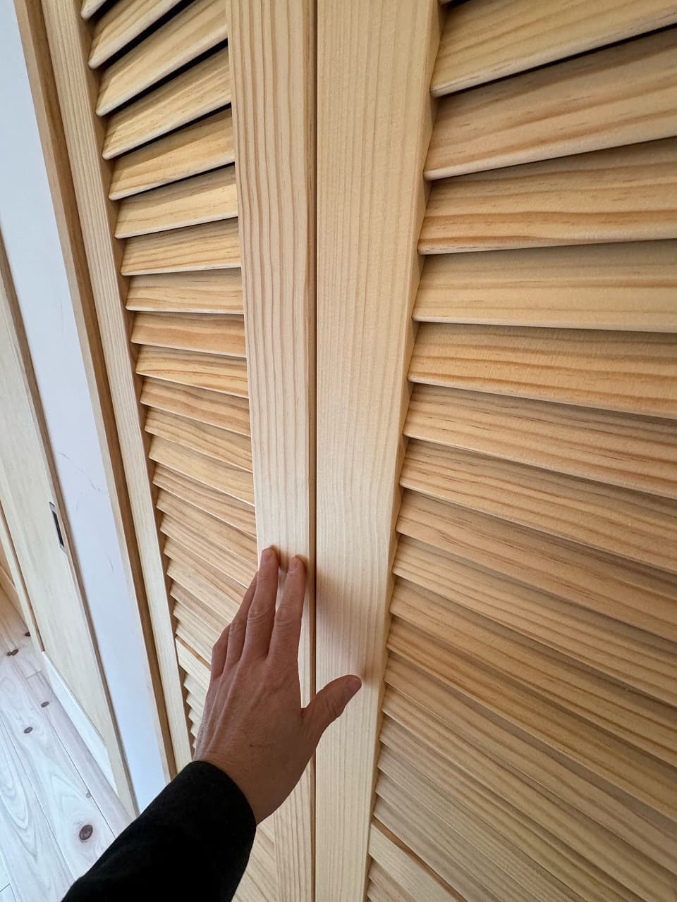 リノベーション後の収納スペース扉